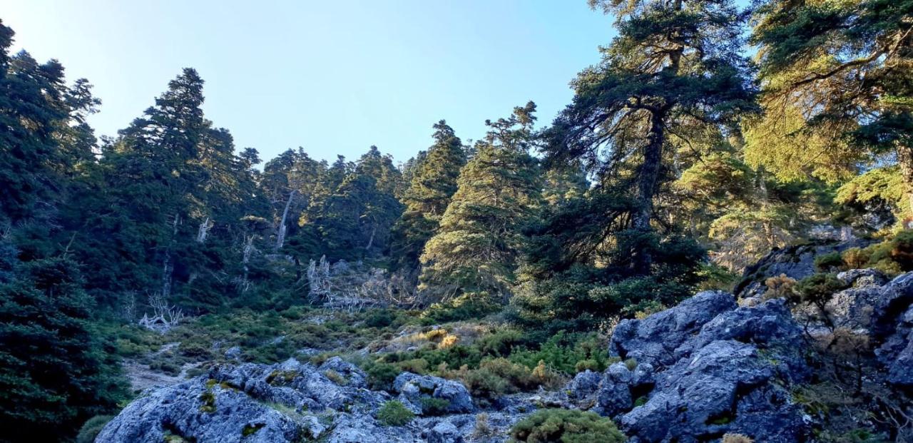 Hotel Sierra Hidalga ロンダ エクステリア 写真